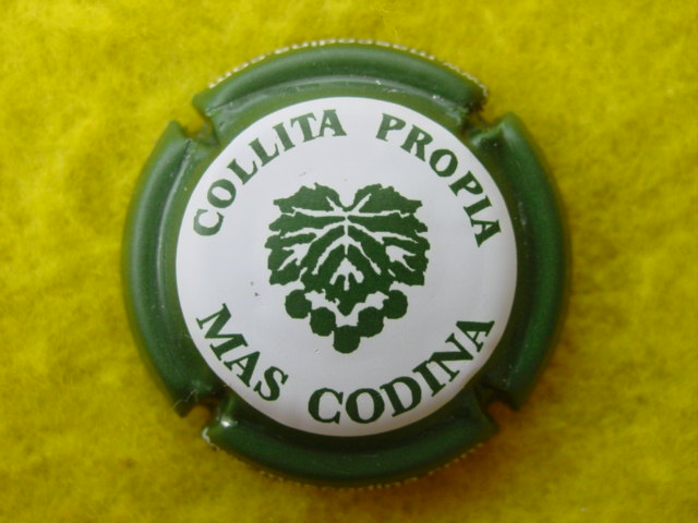 Photo de la capsule
