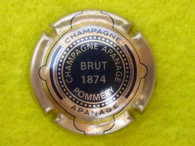 Photo de la capsule