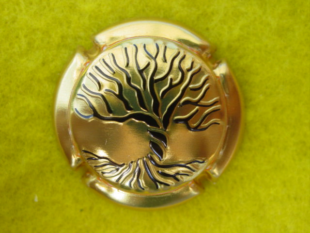 Photo de la capsule