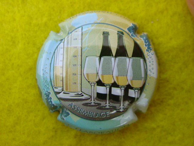Photo de la capsule