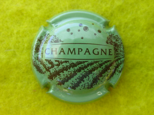 Photo de la capsule